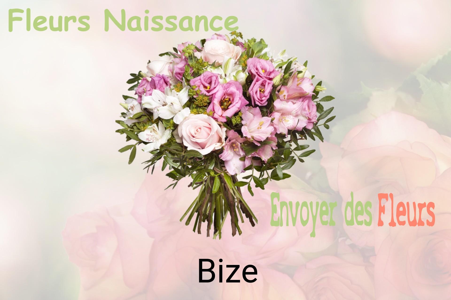 Bouquet de fleurs de naissance livré à Bize
